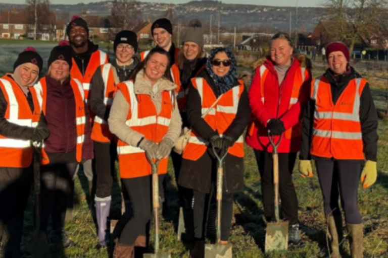 Group of people planting trees